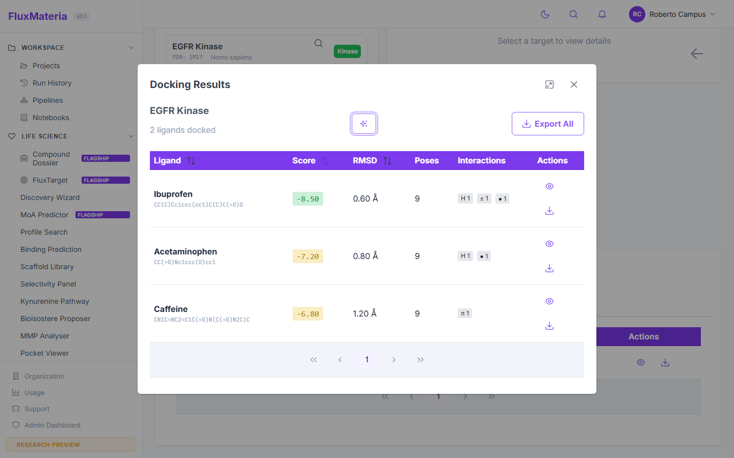 Results dialog with ligand rows, score, RMSD, interaction summary icons